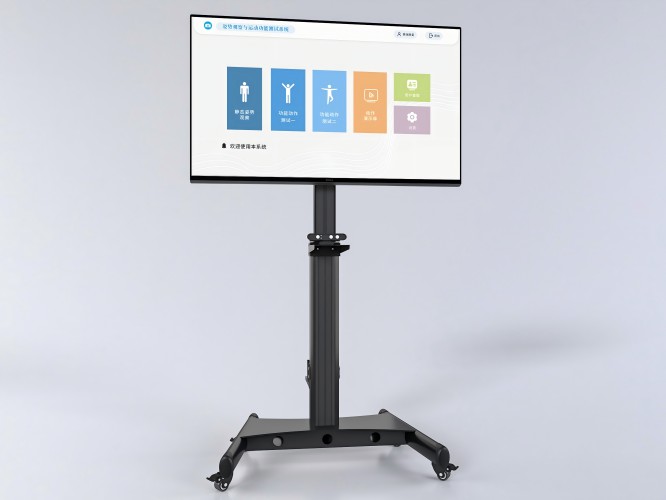 姿勢觀察與運(yùn)動功能測試系統(tǒng)